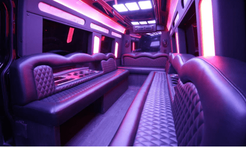 Lodi 14 Passenger Sprinter Bus Interior